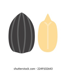 Sunflower seeds icon. Whole sunflower seed. Sunflower seed peeled. Vector illustration isolated on white background.