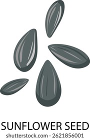Sunflower Seeds Illustration for illustration.