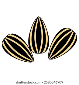 sunflower seeds illustration hand drawn isolated vector