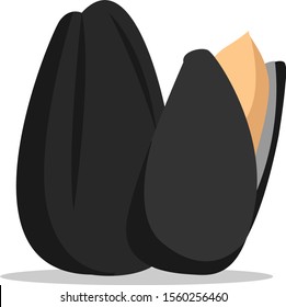 Sunflower seeds, illustration, vector on white background.
