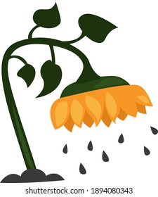 Sunflower seeds, illustration, vector on white background