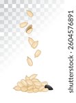 Sunflower seeds isolated, falling peeled sun flower kernels vector icon. Realistic sun flower oil seeds, fly grains without shell set on white background