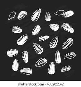 Sunflower seeds isolated on black background. Hand drawn sketch. Vector illustration.