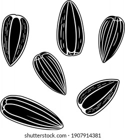 Sunflower seeds isolated on white background. Hand drawn vector illustration. Black and white colors.