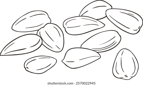 Sunflower Seeds Isolated Outline  Illustration. 