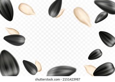 Sunflower seeds isolated seamless vector pattern. Realistic falling shelled seeds isolated on white background. Blurred effect