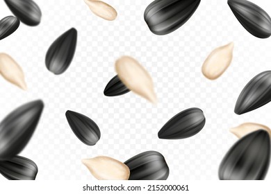 Sunflower seeds isolated seamless vector pattern. Realistic falling shelled seeds isolated on white background. Blurred effect