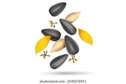 Sunflower Seeds and leaves vector illustration 