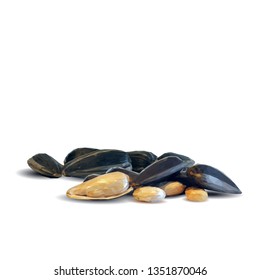 Sunflower seeds low poly. Sunflower seeds composition on white background. Elements for label design. Vector illustration. Sunflower seeds in triangulation technique.