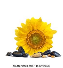 Sunflower seeds low poly. Sunflower flower on white background. Elements for label design. Vector illustration. Sunflower in triangulation technique.