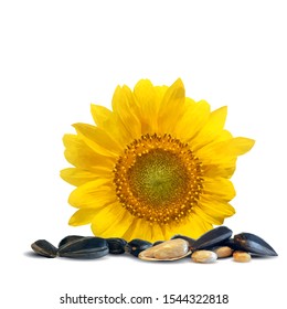 Sunflower seeds low poly. Sunflower flower on white background. Elements for label design. Vector illustration. Sunflower in triangulation technique.