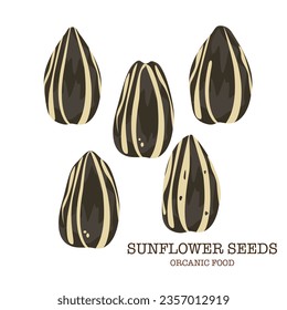 Sunflower seeds Many seeds in cartoon style for banner templates, packages, and farmers market design symbols with text isolated on a white background.
