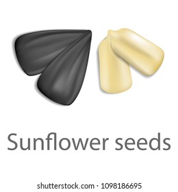 Sunflower seeds mockup. Realistic illustration of sunflower seeds vector mockup for web design isolated on white background