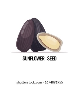sunflower seeds organic healthy vegetarian food concept vector illustration