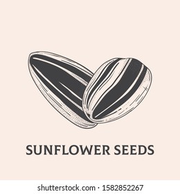 Sunflower seeds - Out line