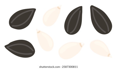 Sunflower seeds. Peeled and in shell grains. Nuts set. Vegan food ingredients. Vector illustration isolated on white background