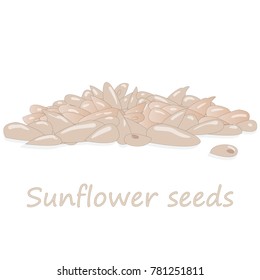 sunflower seeds pile against white background illustation set