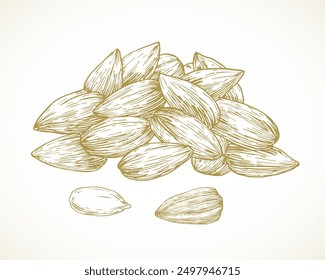 Sunflower Seeds Pile. Hand Drawn Sketch Seeds Vector Illustration. Natural Vegan Plant Based Fruit Food Doodle. Isolated