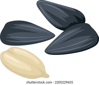 Sunflower seeds. Raw oil ingridient cartoon icon isolated on white background