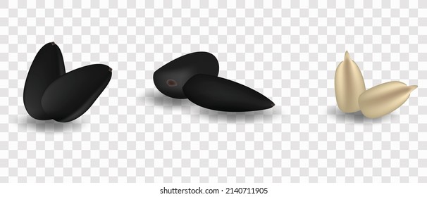Sunflower seeds. Realistic 3d vector. Seeds in different positions. peeled seeds
