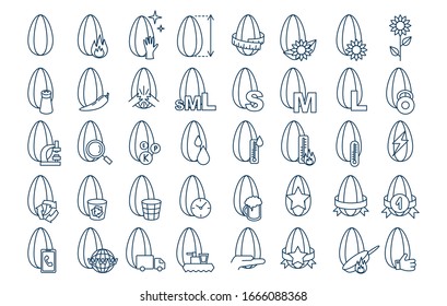 Sunflower seeds. Set of collection outline vetor icons with editable stroke about size, weight, roasting grains. Investigation, terms and conditions of storage of crispy seeds. For web or packaging.