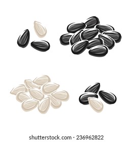 Sunflower seeds set. Vector