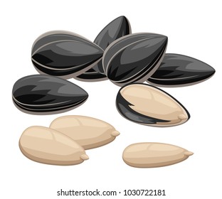 Sunflower seeds in a shell and without ready to eat snack vector illustration isolated on white background web site page and mobile app design.