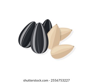 Sunflower seeds in a shell and without ready to eat snack vector illustration isolated on white background 