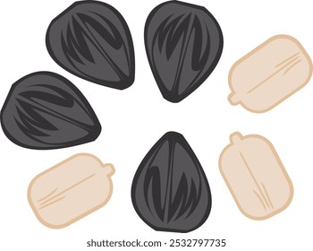 sunflower seeds simple illustration set