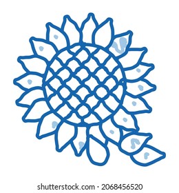 sunflower seeds sketch icon vector. Hand drawn blue doodle line art sunflower seeds sign. isolated symbol illustration