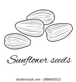 Sunflower seeds sketch. Nut.Coloring for children and adults. Illustration isolated on white background.Zen-tangle style.