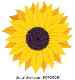 Sunflower with seeds vector flat icon isolated on white background.