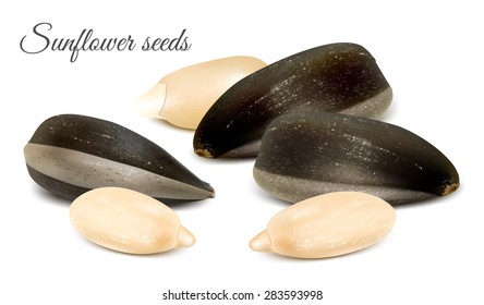 Sunflower seeds. Vector illustration.