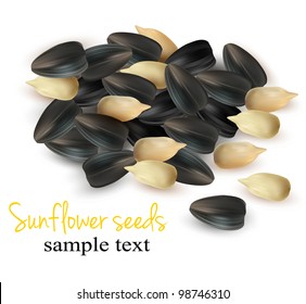 Sunflower seeds. Vector illustration.