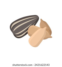 Sunflower seeds vector illustration. Sunflower seeds on white background.