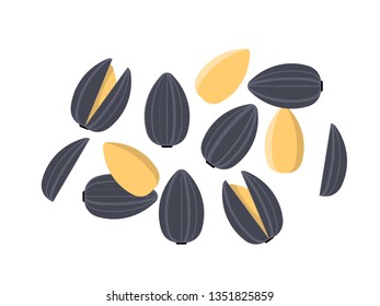 Sunflower seeds. Vector isolated illustration.