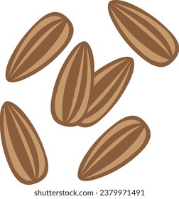 Sunflower Seeds vector. Sunflower Seeds on white background.