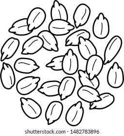 Sunflower seeds. Vector outline icon.