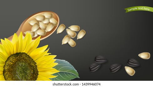 Sunflower seeds Vector realistic. Darkl background. 3d illustration