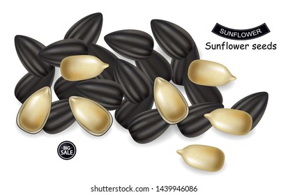 Sunflower seeds Vector realistic. Darkl background. 3d illustration