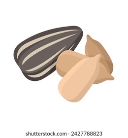 Sunflower seeds vegan foods vector illustration