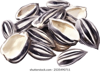 Sunflower Seeds Watercolor Hand-Painted. Large Oblong Seeds Isolated on White Background. Sunflower Seed Illustration