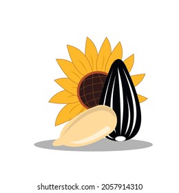 Sunflower seeds whole and open. As well as sunflowers on a white background.