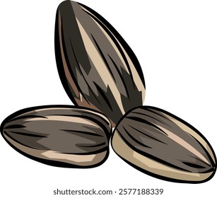 Sunflower seeds without background vector image