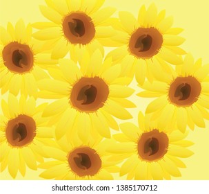 Sunflower set background. vector illustration