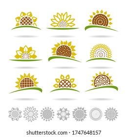 Sunflower set. Collection icon sunflower. Vector