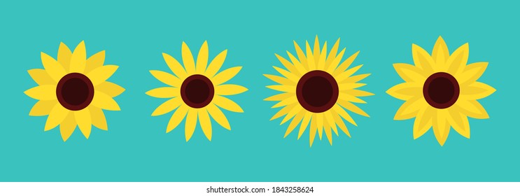 Sunflower set line. Four yellow sun flower icon. Cute round plant collection. Love card symbol. Growing concept. Flat design. Green background. Isolated. Vector illustration