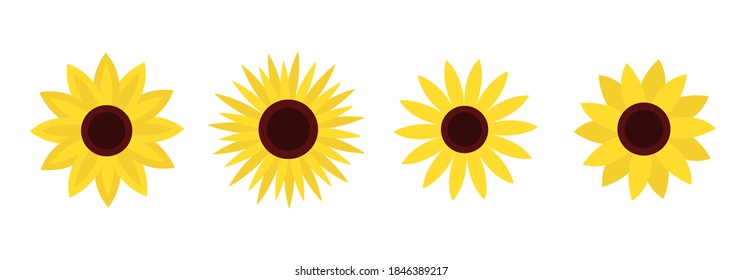 Sunflower set line. Four yellow sun flower icon. Cute round summer plant collection. Love card symbol. Growing concept. Closeup. Flat design. Isolated. White background. Vector illustration