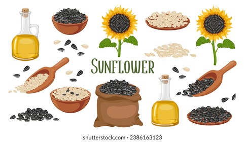 Sunflower set. Sunflower oil, sunflower plant, seeds in a canvas bag, wooden spoon and bowl. Agriculture, food. Vector