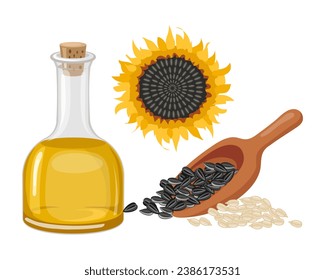 Sunflower set. Sunflower oil, sunflower plant, seeds. Agriculture, food. Vector